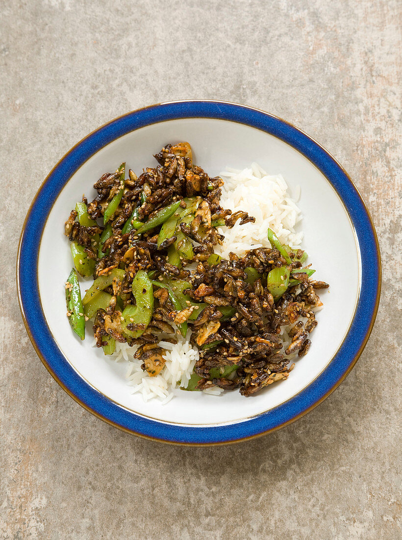 Dried cricket insects and celery teriyaki with rice