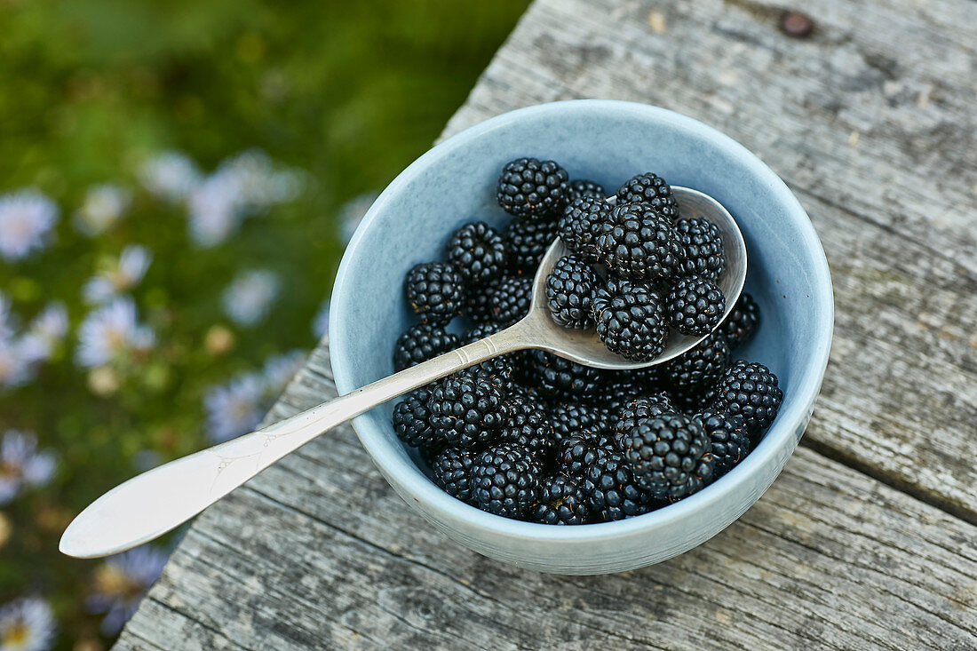 Blackberries in bowl on grey wood deck
