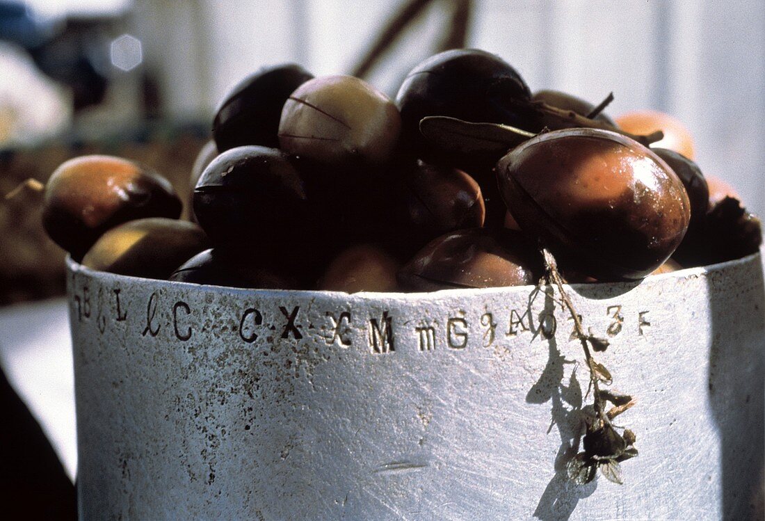 Olives in an Aluminum Bowl