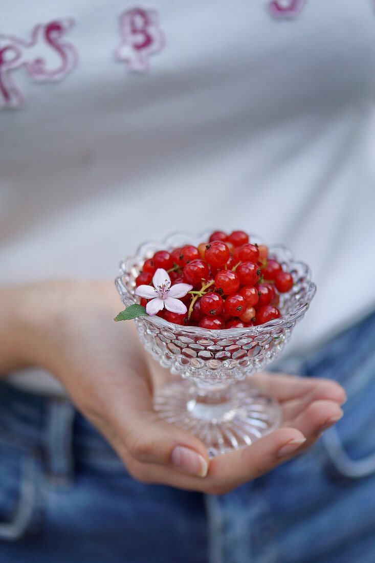 Red currants in a crystal bowl in a woman’s hand