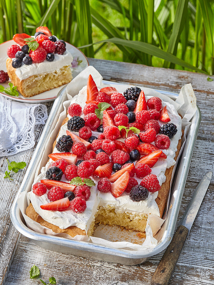 Tray sponge cake with marchpane and summer fruits