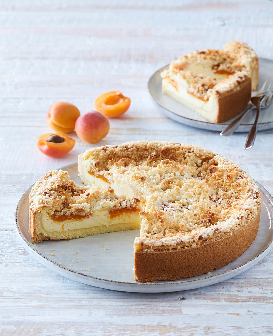 Crumble cake with apricots Apricot Crumble Cake