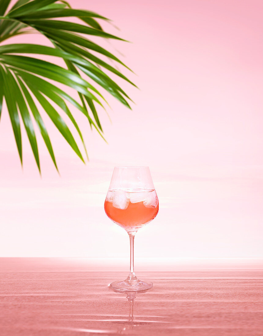Ein Glas Roséwein mit Eiswürfeln vor rosa Hintergrund