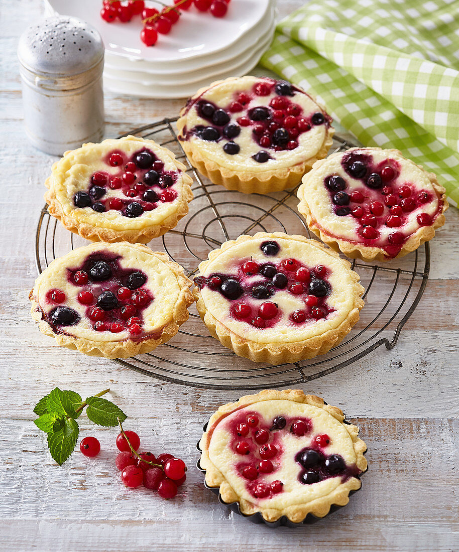 Ricotta-Törtchen mit Johannisbeeren