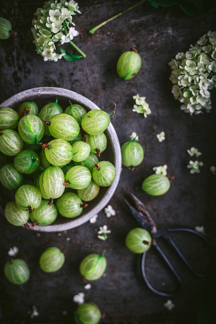 Gooseberries for gooseberry jam