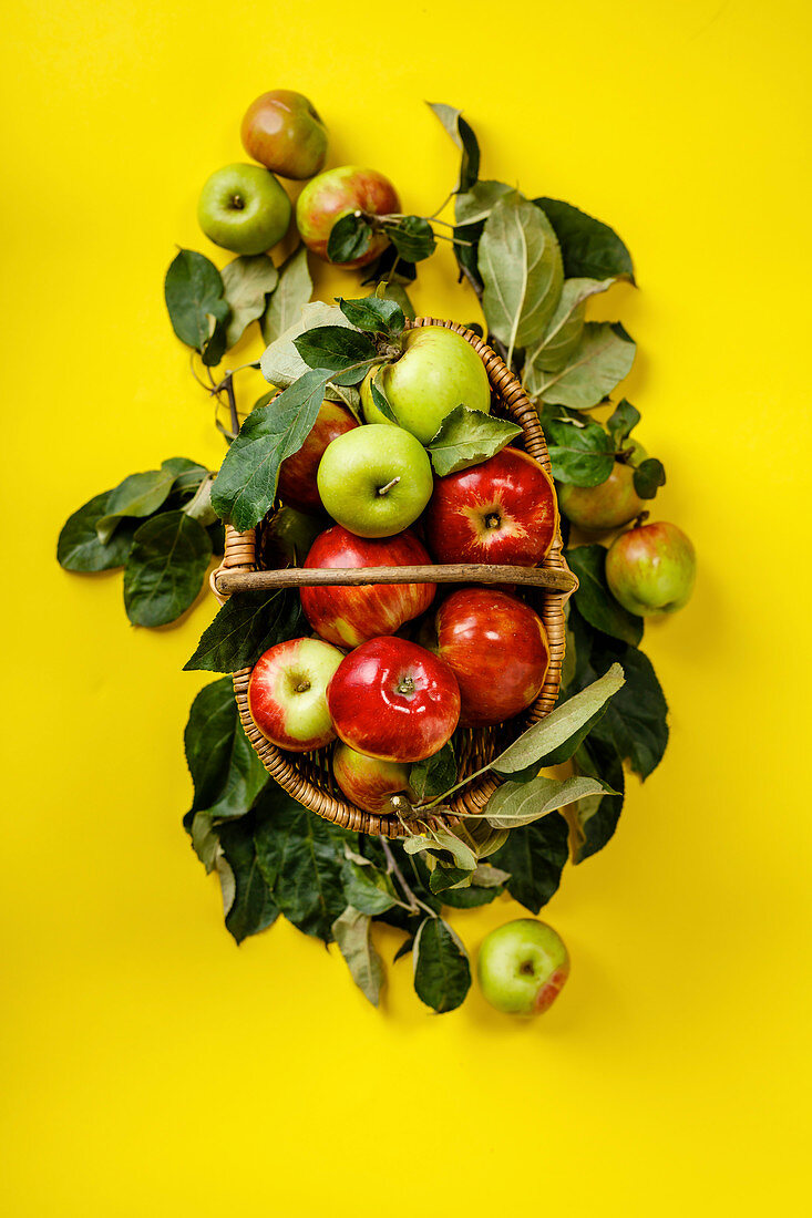 Organic apples in basket on yellow background
