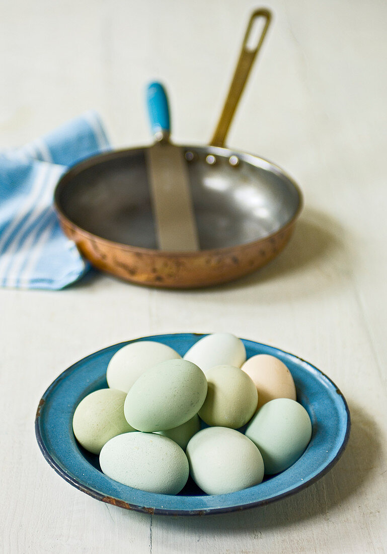 varierty of blue and white eggs