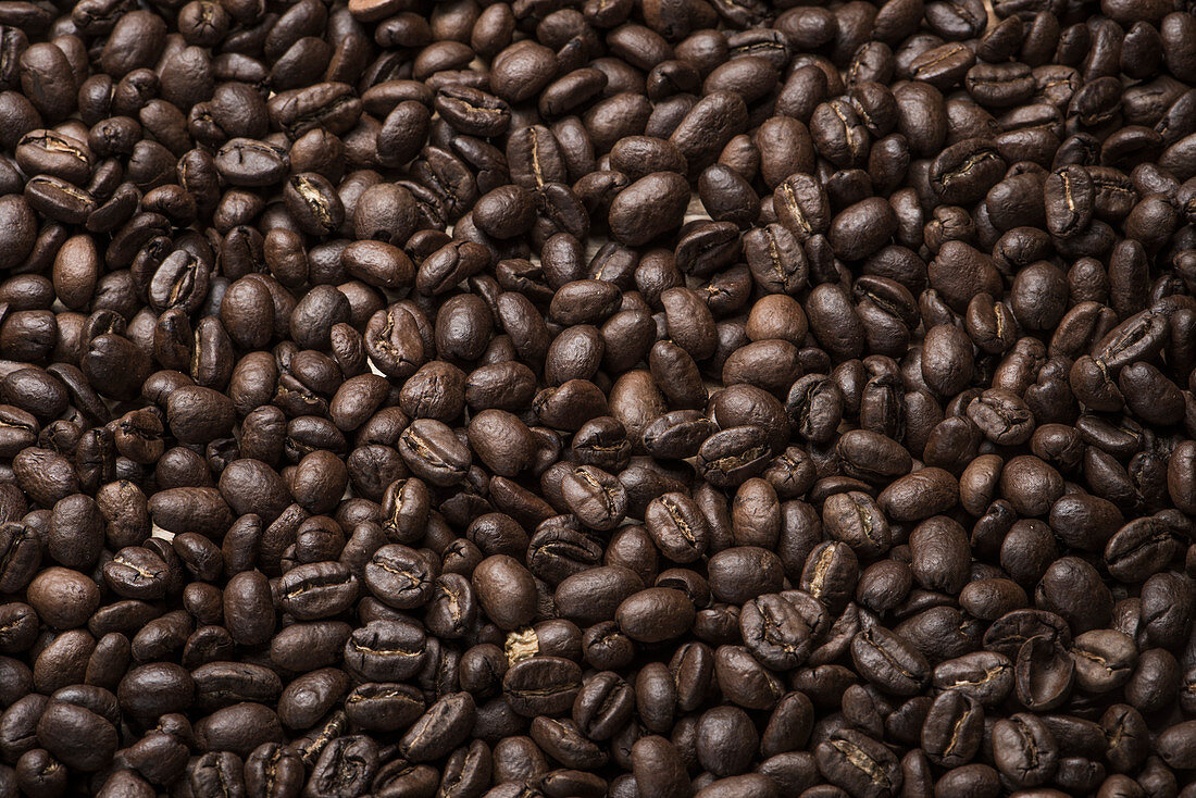 Coffee beans (full screen)