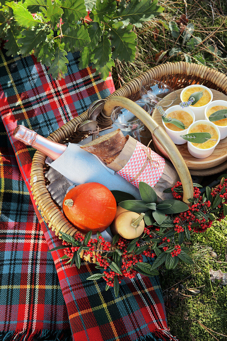 Picknickkorb mit Champagner, Kürbissuppe und Brot