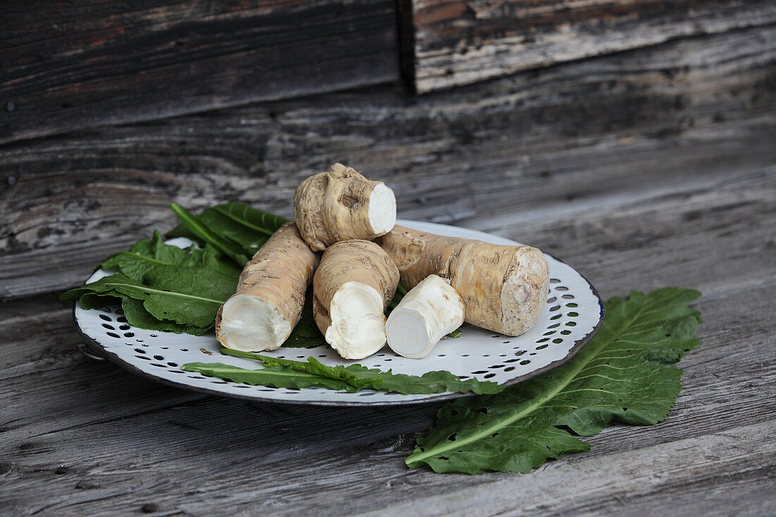 Horseradish roots and fresh green leaves