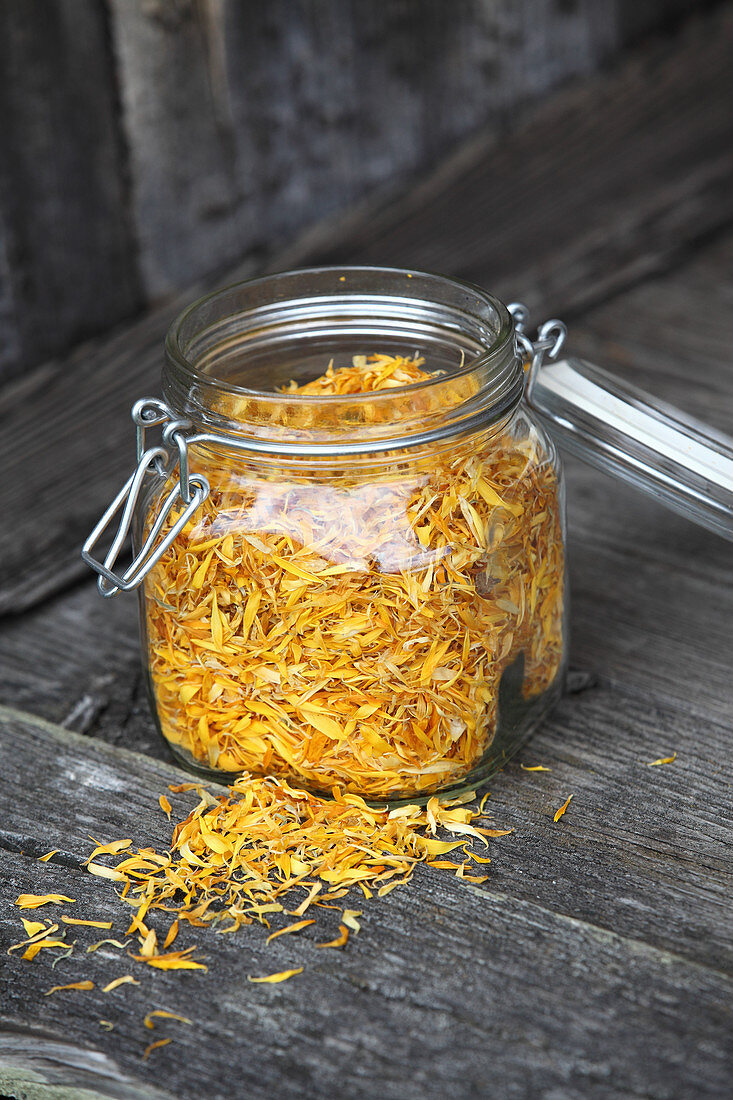 Dried arnica petals in a glass jar (naturopathy)
