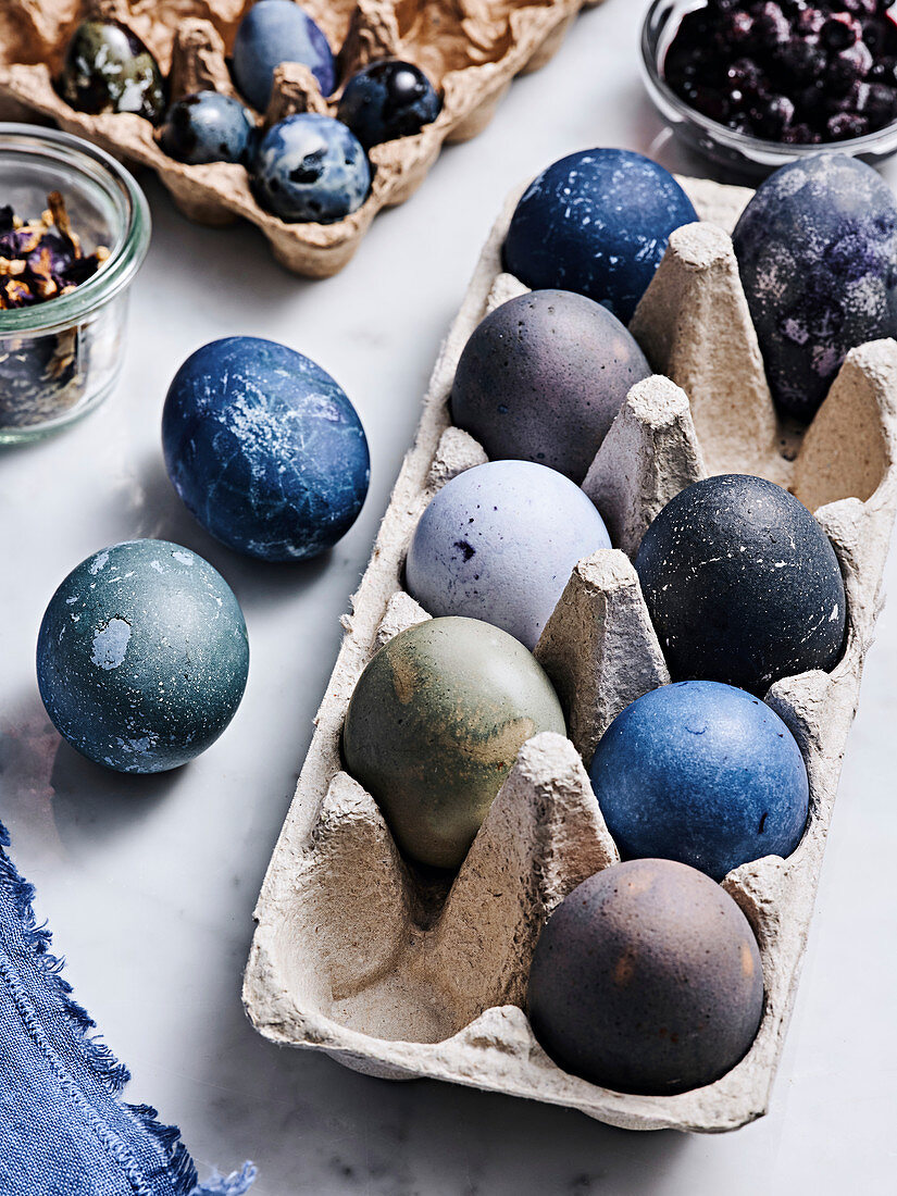 Eggs of different shades of blue