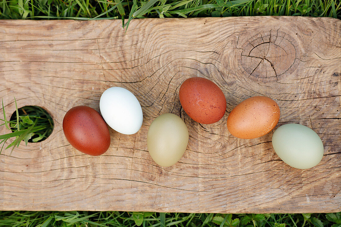 Sechs naturfarbene Eier auf Holzbrett