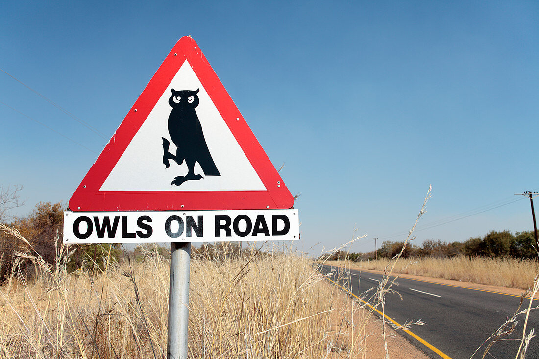 Owls on road warning sign