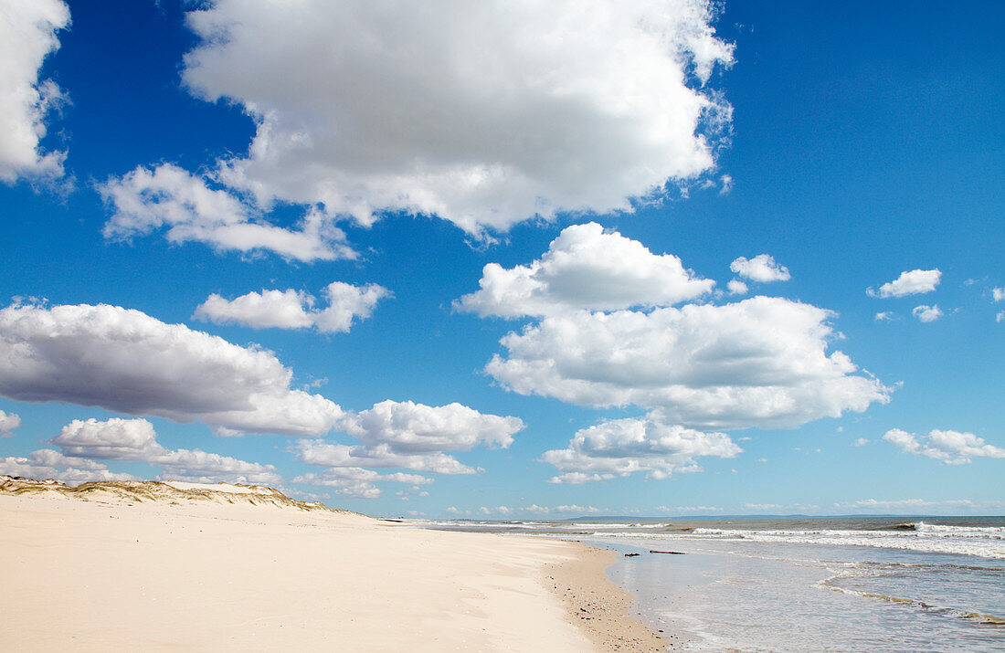 Beach, West Coast, South Africa