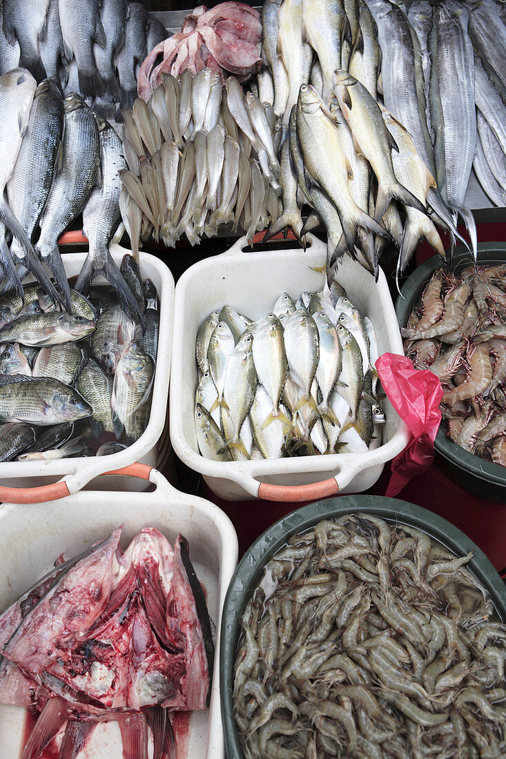 Fish market, Philippines