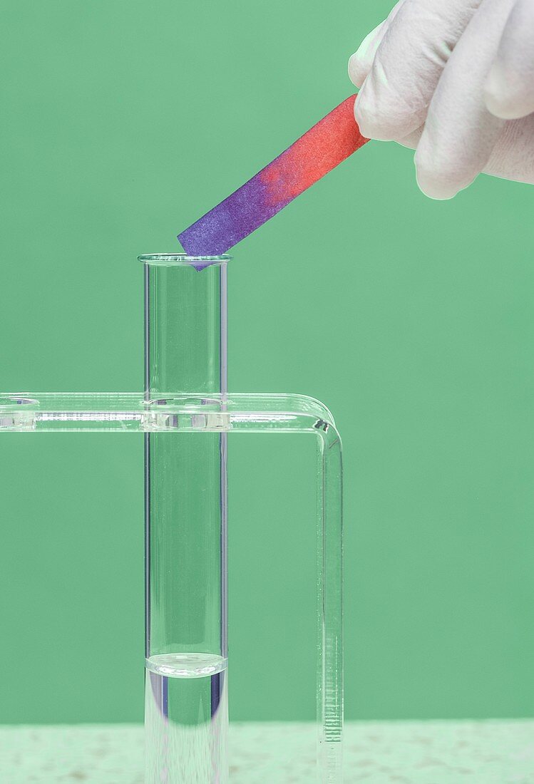 Red litmus paper turned blue by ammonia.
