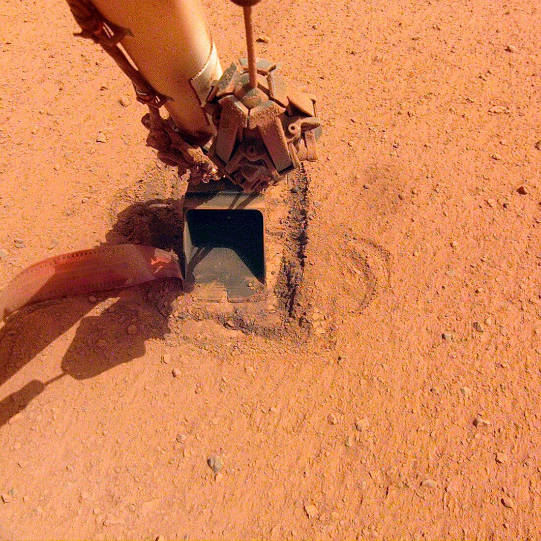InSight lander mole