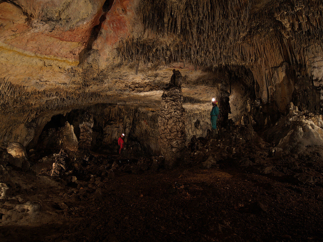 Cueva Mayor fossil site, Spain