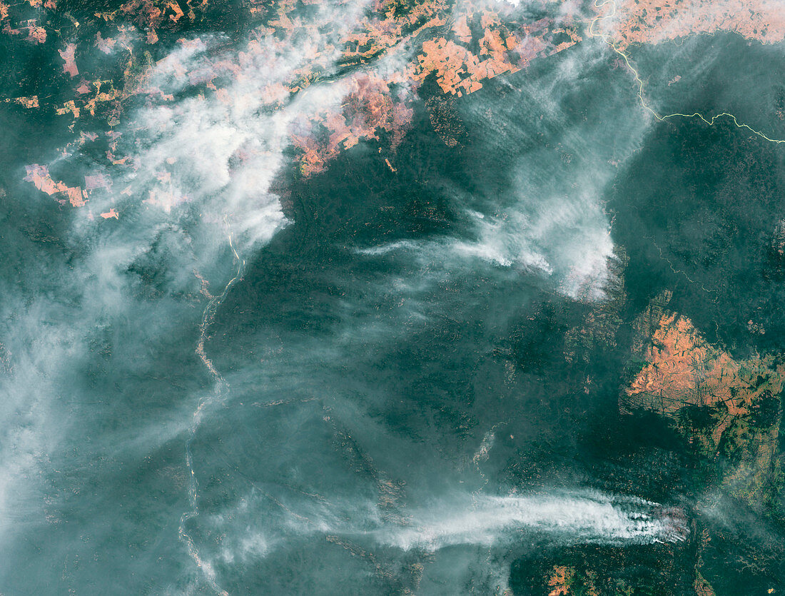 Forest fires in the Amazon, satellite image