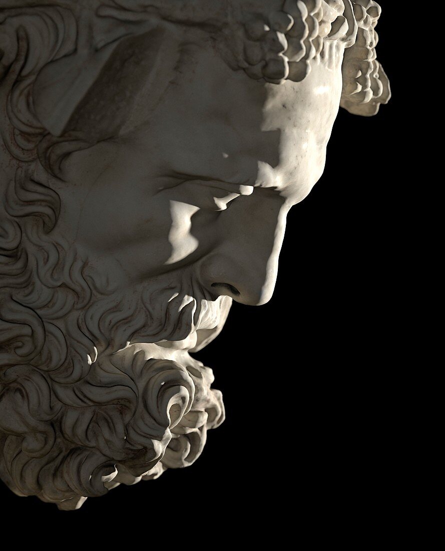 The marble head of Silenus.