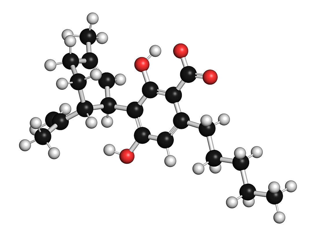 CBDA cannabinoid molecule, illustration