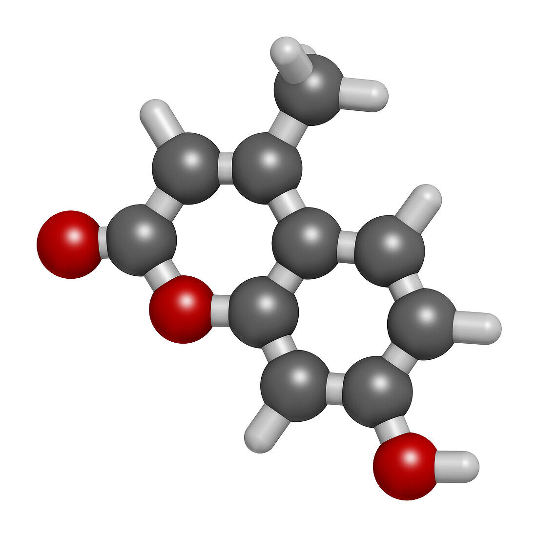 Hymecromone drug molecule, illustration