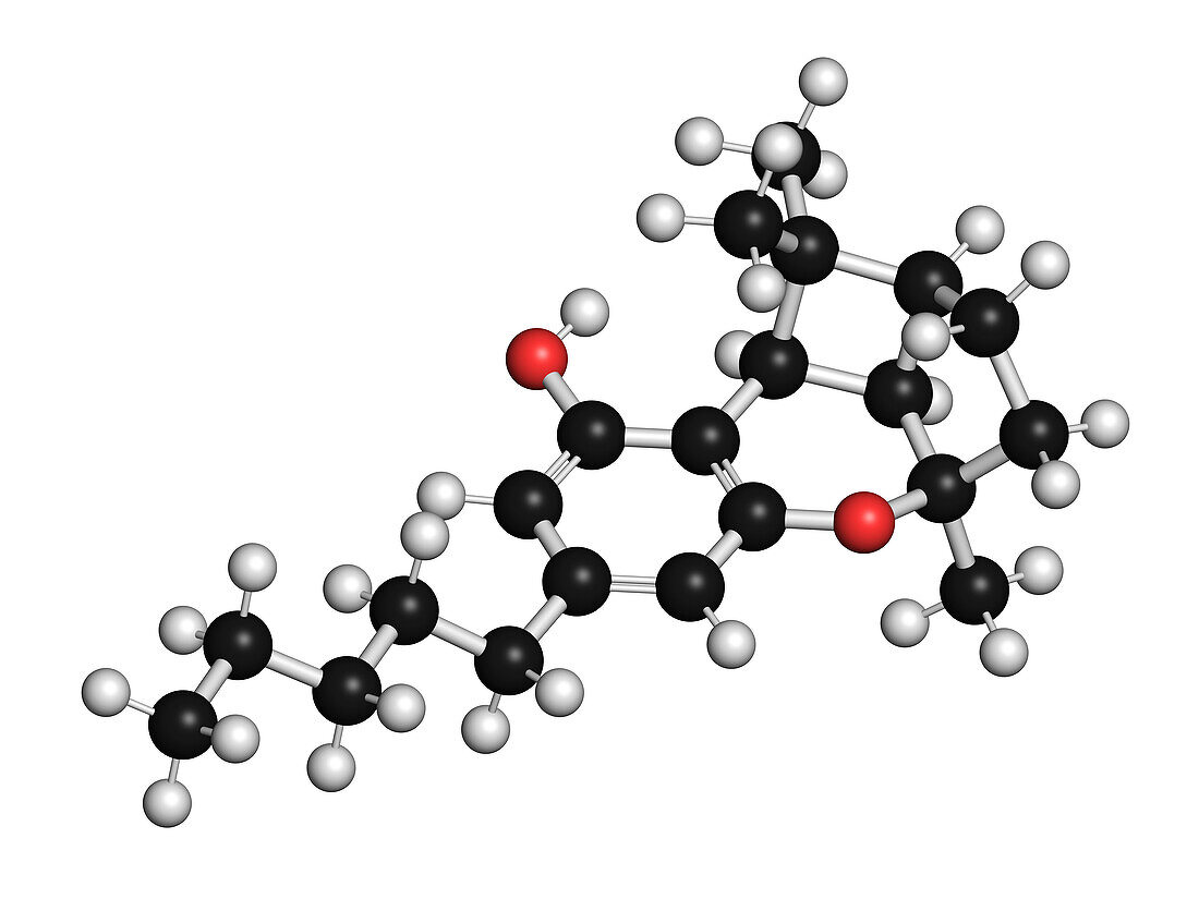 CBL cannabinoid molecule, illustration
