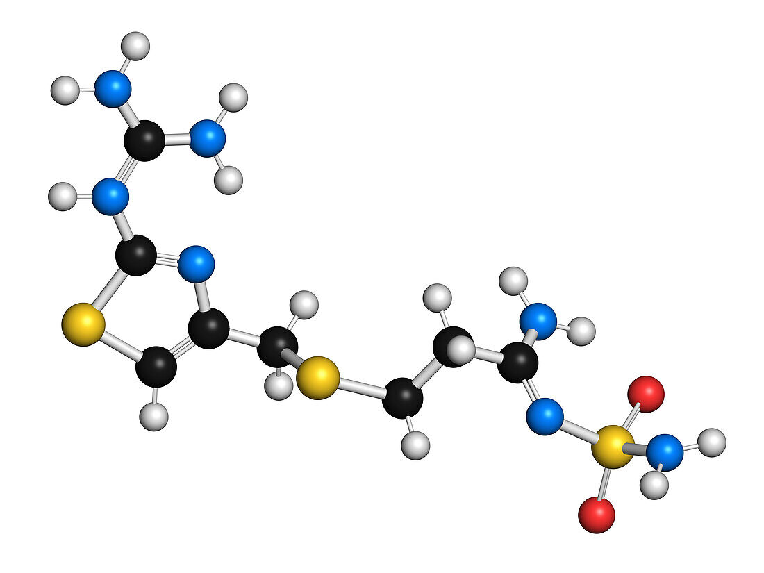 Famotidine drug molecule, illustration