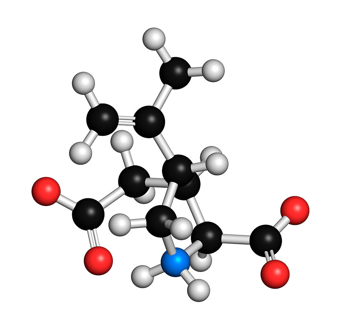 Kainic acid molecule, illustration