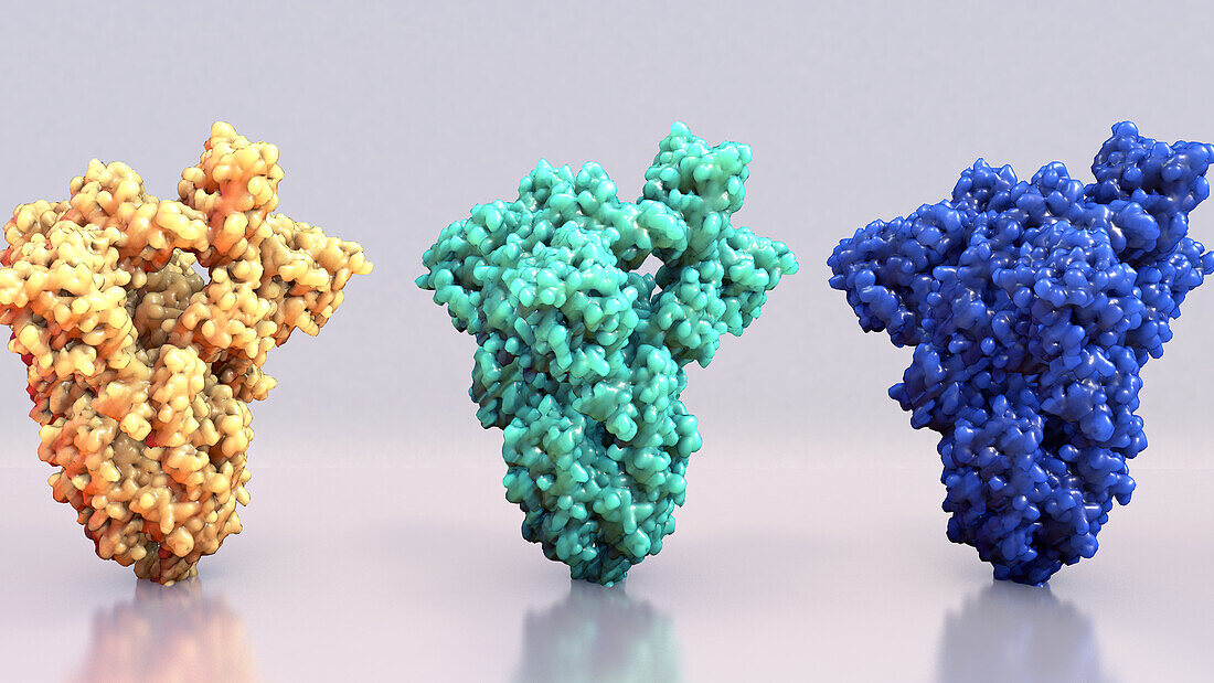 SARS-CoV-2 variant spike proteins, conceptual illustration