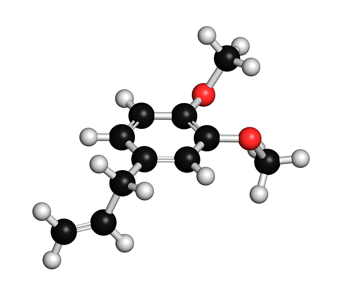 Methyl eugenol molecule, illustration