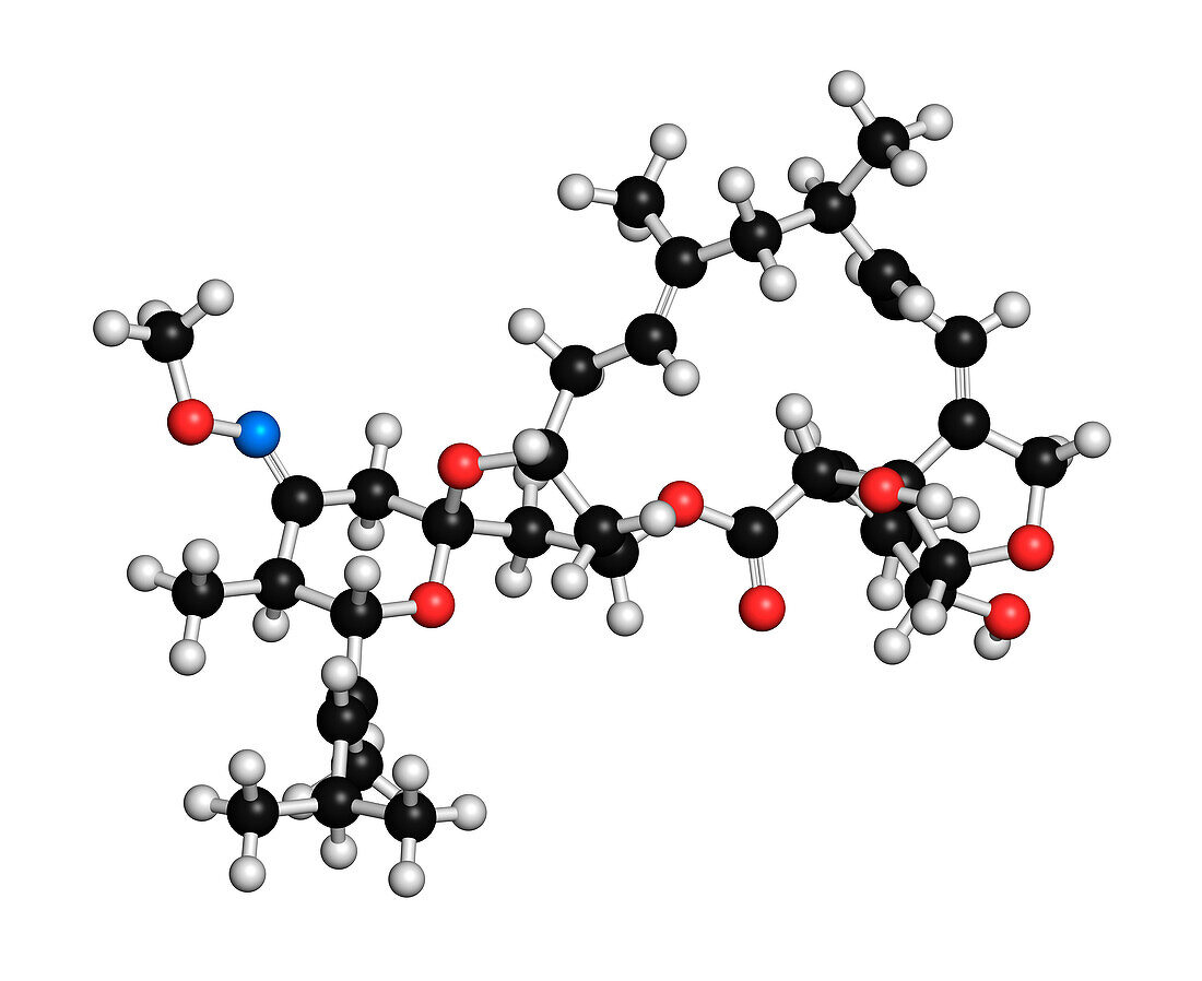 Moxidectin anthelmintic drug molecule, illustration