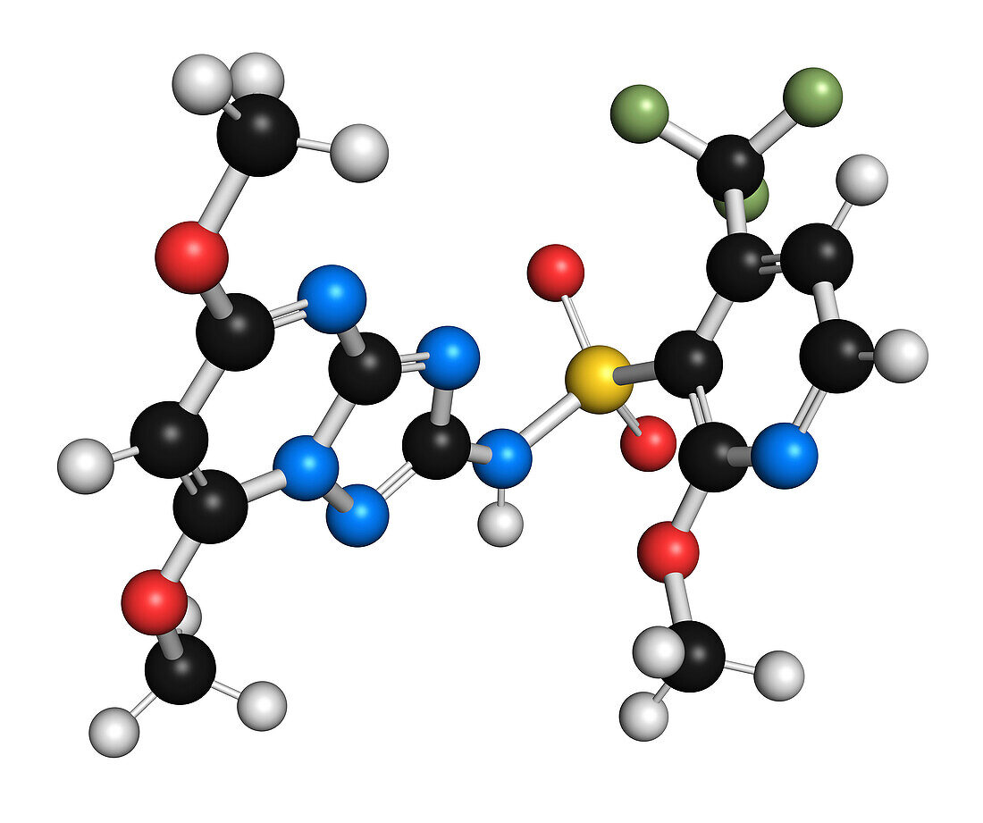 Pyroxsulam herbicide molecule, illustration