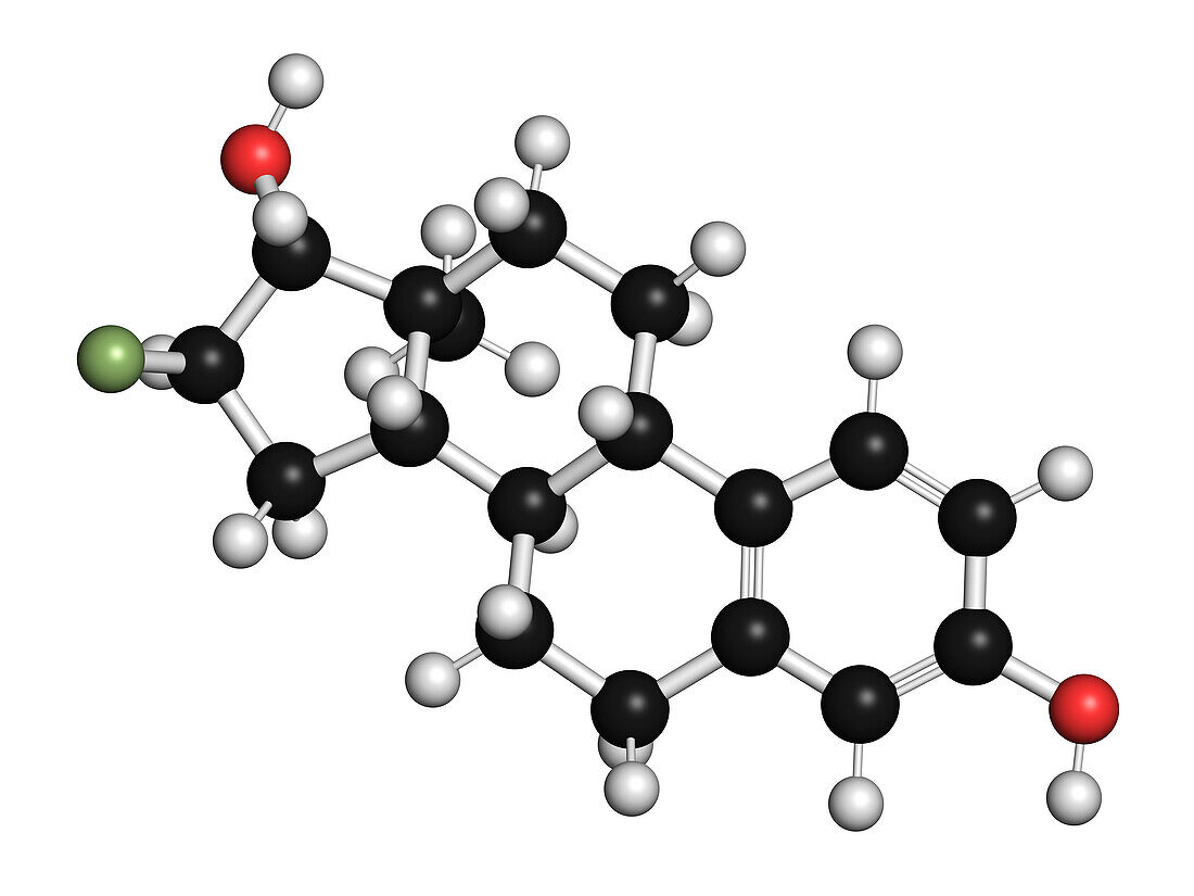 Fluoroestradiol F-18 diagnostic molecule, illustration