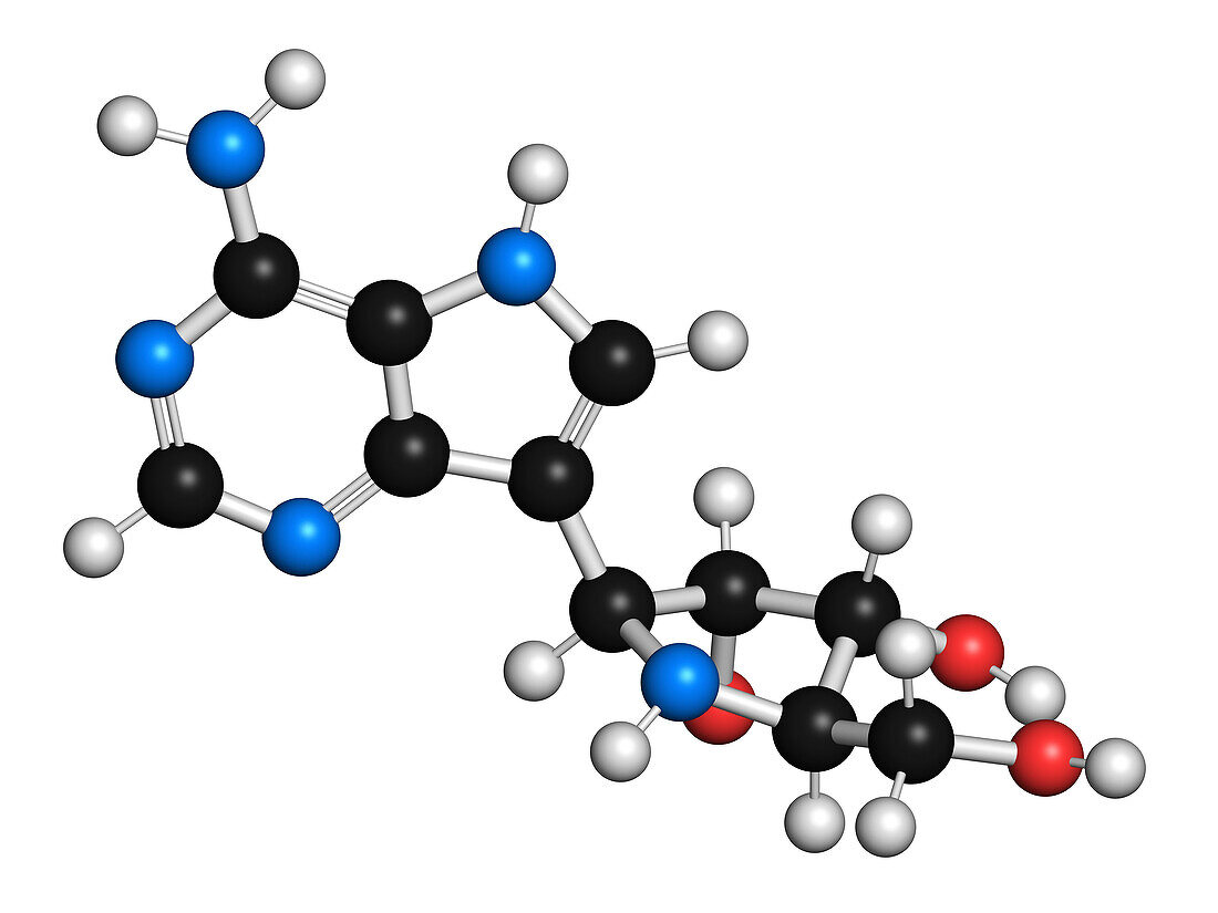 Galidesivir antiviral drug molecule, illustration