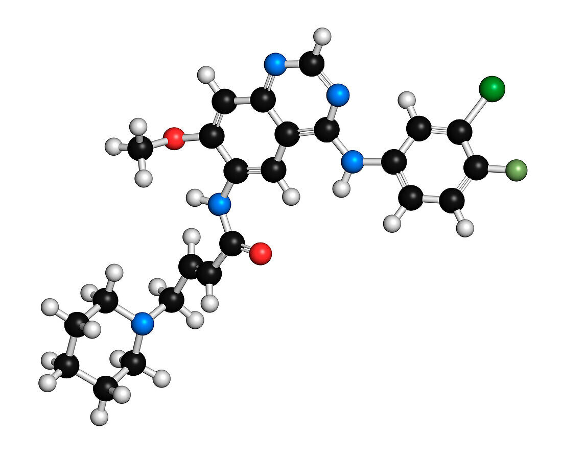 Dacomitinib cancer drug molecule , illustration