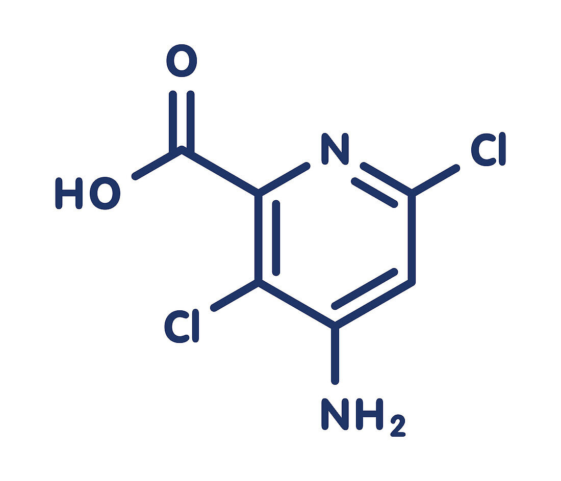 Aminopyralid herbicide molecule, illustration