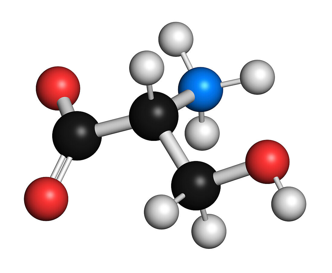 D-serine amino acid molecule, illustration
