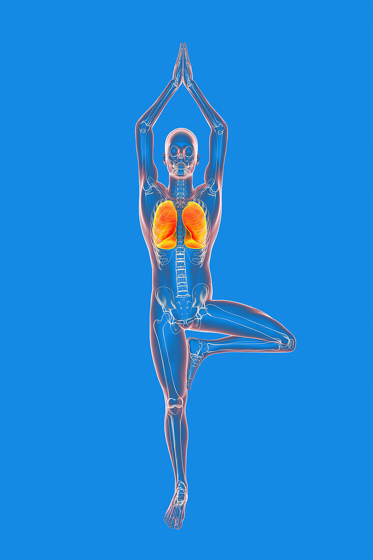 Skeleton in tree yoga pose, illustration.