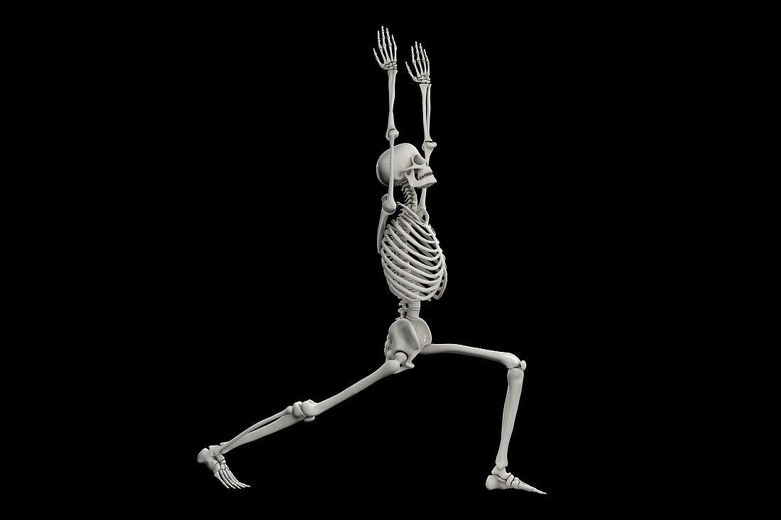 Skeleton in warrior 1 yoga pose, illustration