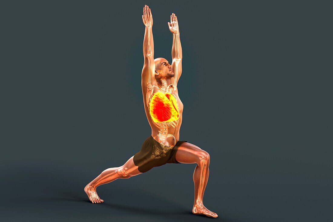 Respiratory regulation and breathing in yoga, illustration