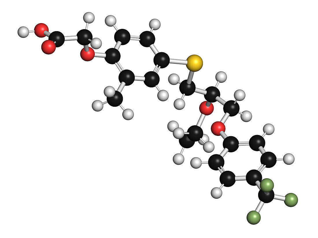 Seladelpar drug molecule, illustration