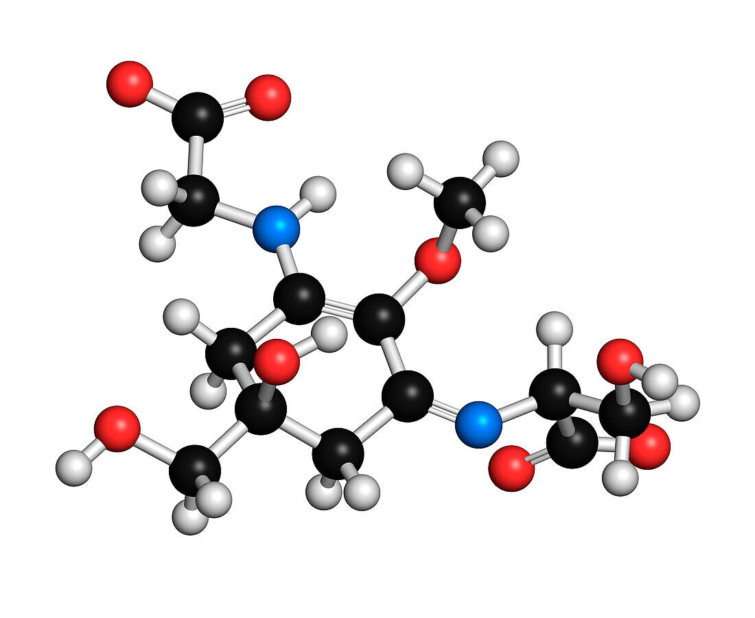 Shinorine sunscreen molecule, illustration