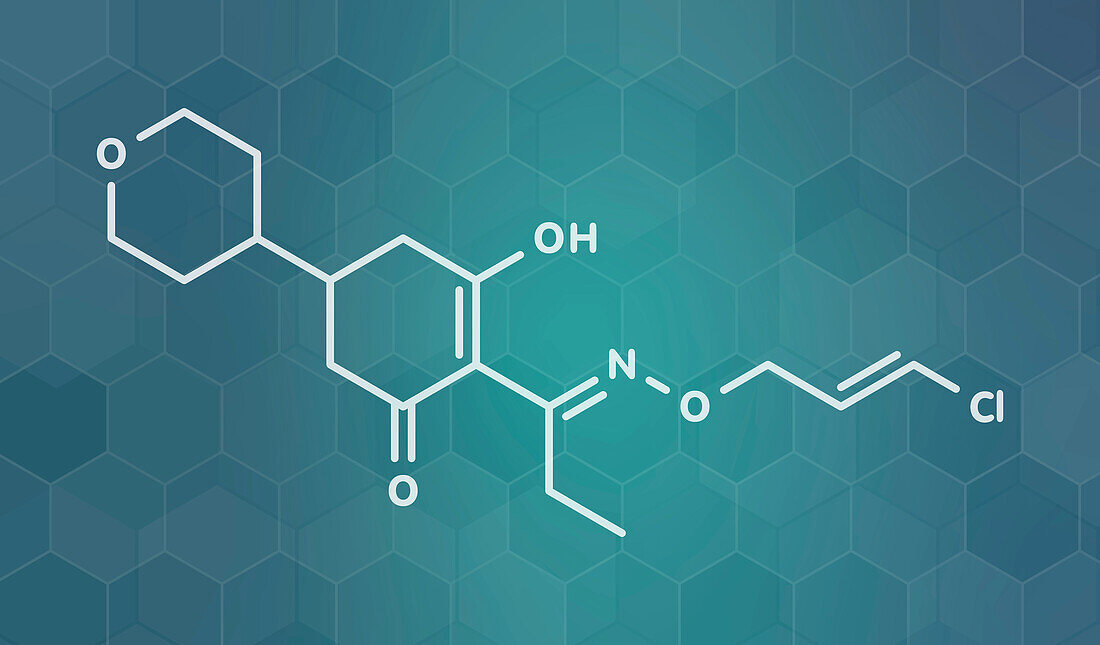 Tepraloxydim herbicide molecule, illustration