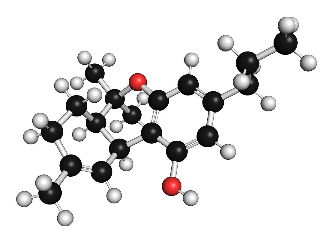 THCV cannabinoid molecule, illustration