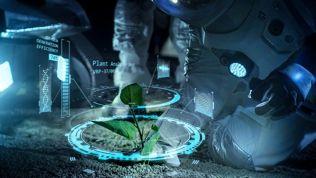 Astronauts analysing alien plant life