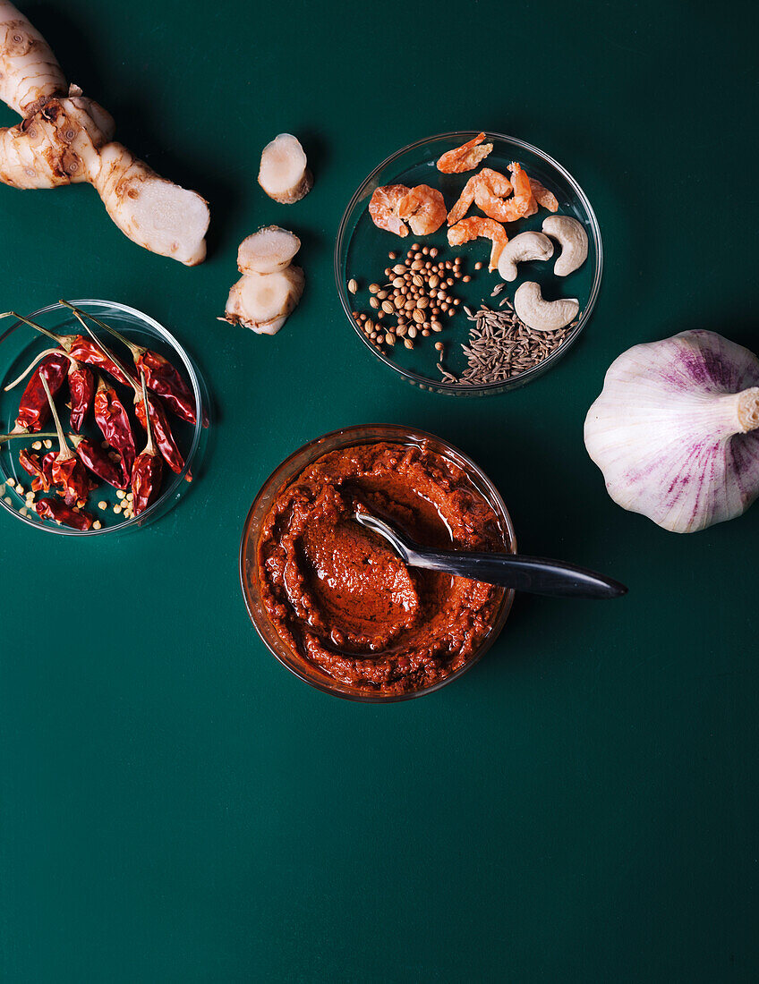 Ingredients for laksa with homemade curry paste