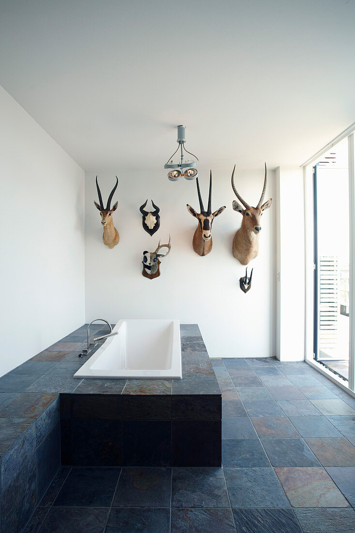 Hunting trophies in bathroom