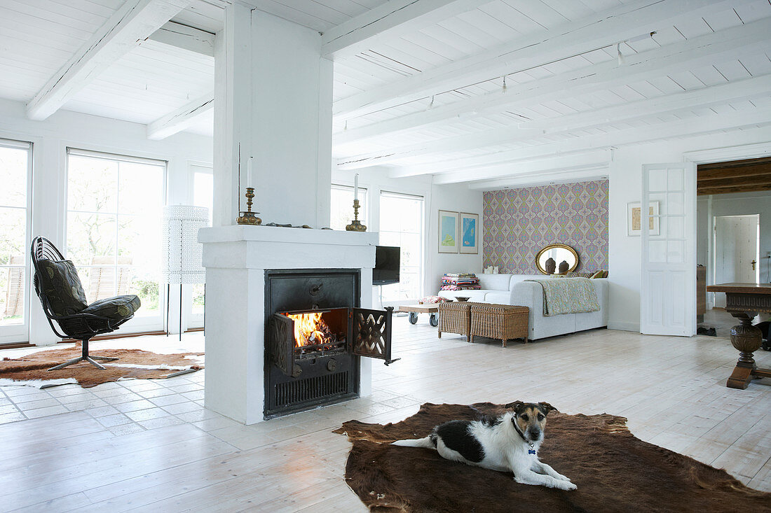 Dog lying on cowhide rug in front of central fireplace in bright living room